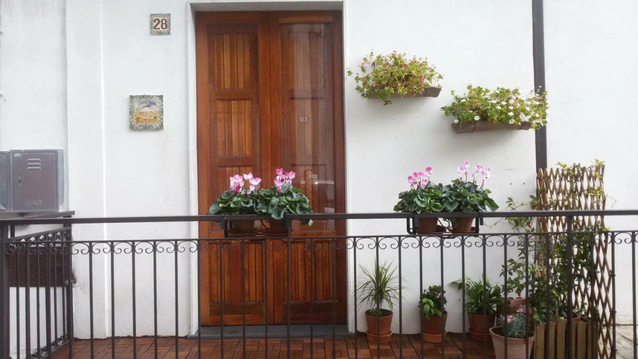 Guest House Le Ginestre Dell'Etna Belpasso Εξωτερικό φωτογραφία