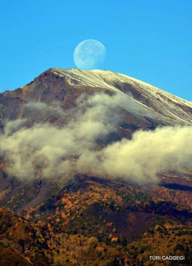 Guest House Le Ginestre Dell'Etna Belpasso Εξωτερικό φωτογραφία